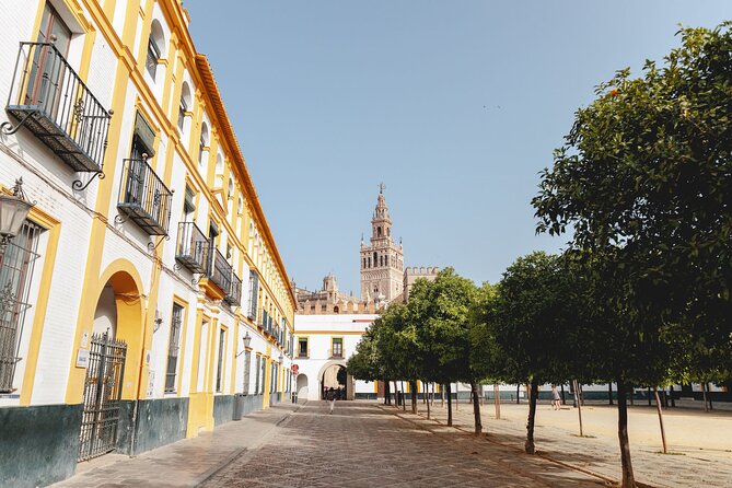 Seville Exclusive Beat the Crowds Guided Alcazar Before Opening - Plaza del Triunfo at 8:30, and why this timing changes everything