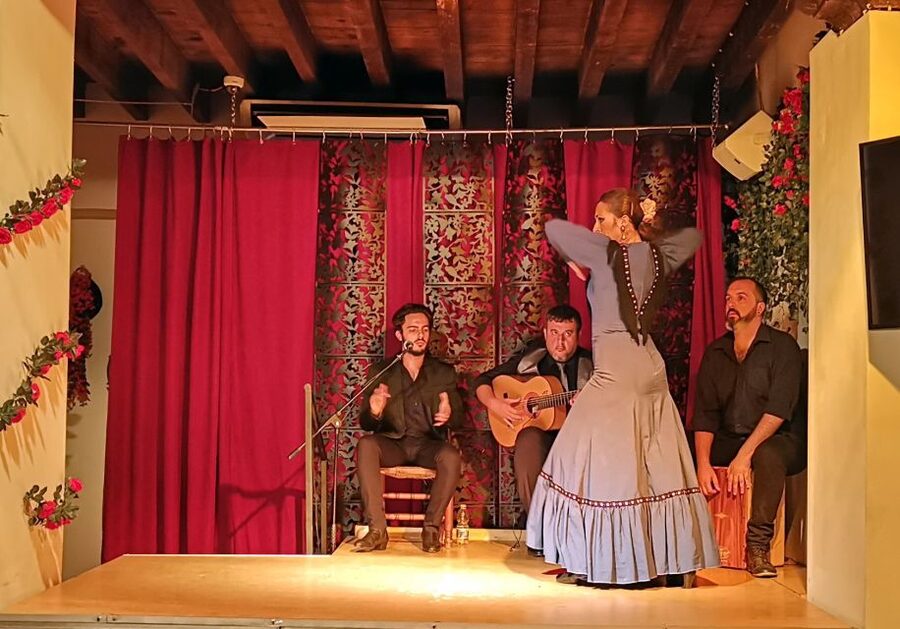 Seville: Flamenco Show at Tablao Flamenco Andalusí - Live Guitar and Singing: The Moment the Rhythm Takes Hold