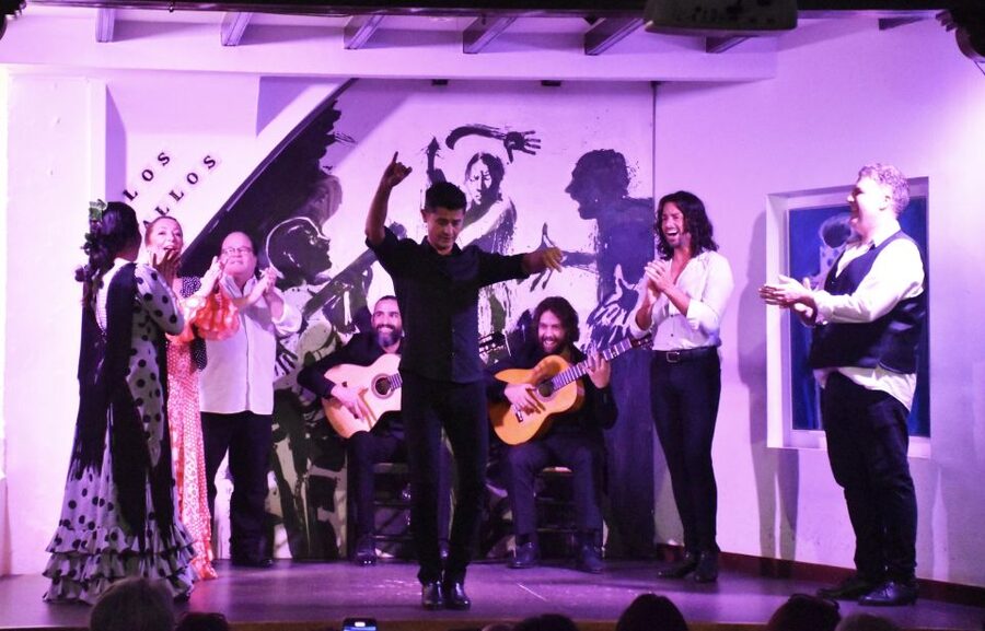 Seville: Flamenco Show at Tablao Los Gallos - The dance: footwork, gestures, and costumes that communicate fast