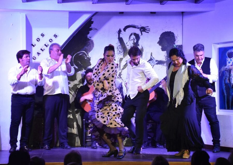 Seville: Flamenco Show at Tablao Los Gallos - Value in plain terms: is $45 a fair deal?