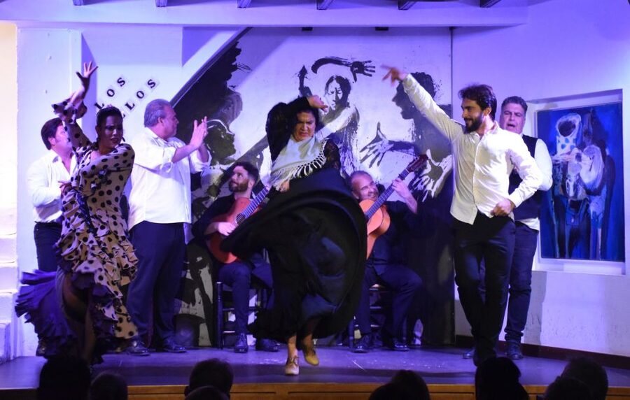 Seville: Flamenco Show at Tablao Los Gallos - Who this show suits best, and who should think twice