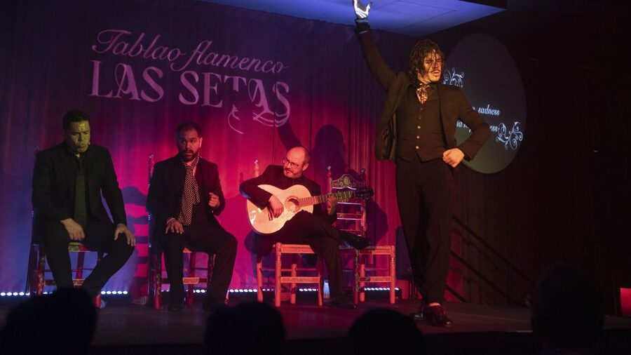 Seville: Flamenco Show & Roof Dinner with Cathedral Views - Tablao Las Setas at 19:45: flamenco in Seville’s core