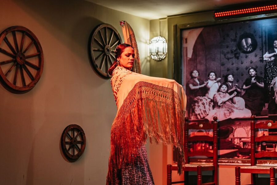 Seville: Flamenco Show with Andalusian Dinner at La Cantaora - Who this Seville flamenco with dinner is best for