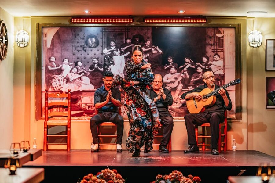 Seville: Flamenco Show with Andalusian Dinner at La Cantaora - Where to check in and what your 1-hour evening timeline looks like