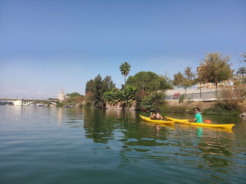 Seville: Guadalquivir River Kayaking Trip - Price and value: why 17 dollars for two hours feels fair