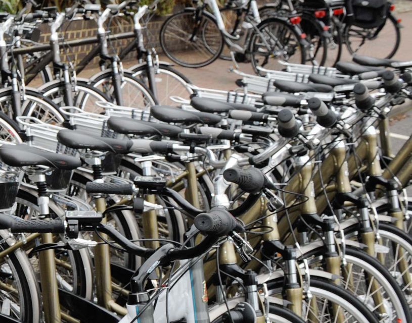 Seville: Guided Tour by Electric Bike - Why Seville works so well on an electric bike