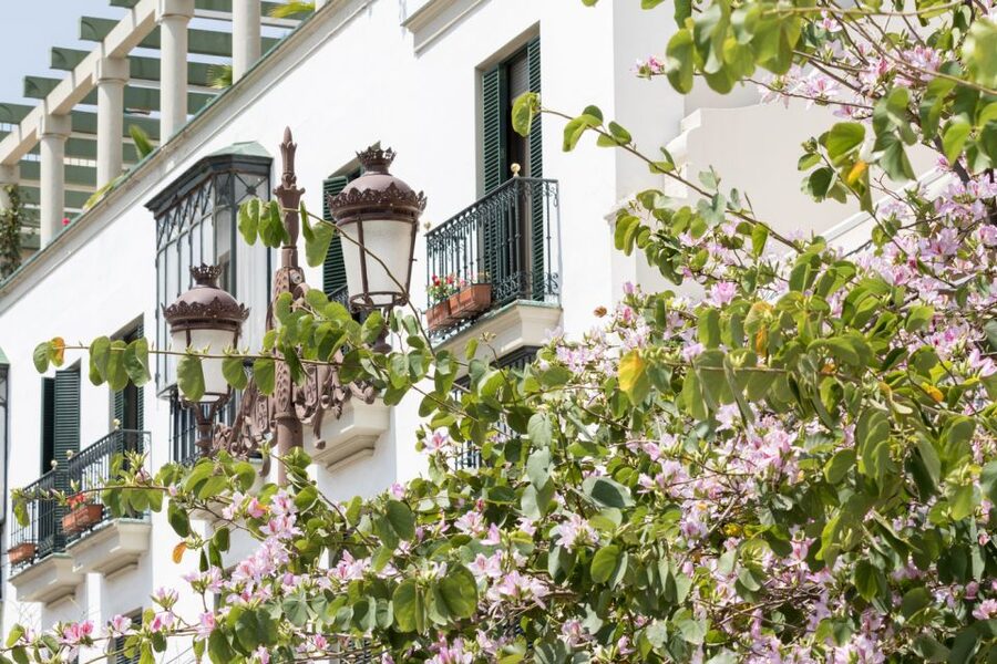 Seville Jewish Quarter walking tour: Santa Cruz District - Calle Ópera Carmen: why the walk doesn’t end at folklore