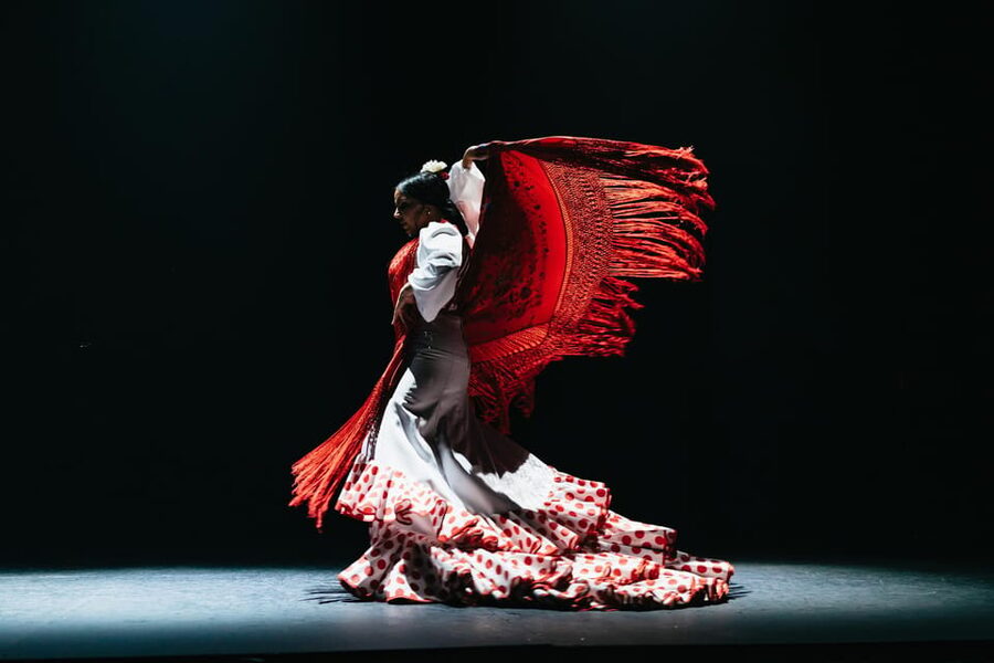 Seville: Live Flamenco Dancing Show Ticket at the Theater - Key takeaways before you go