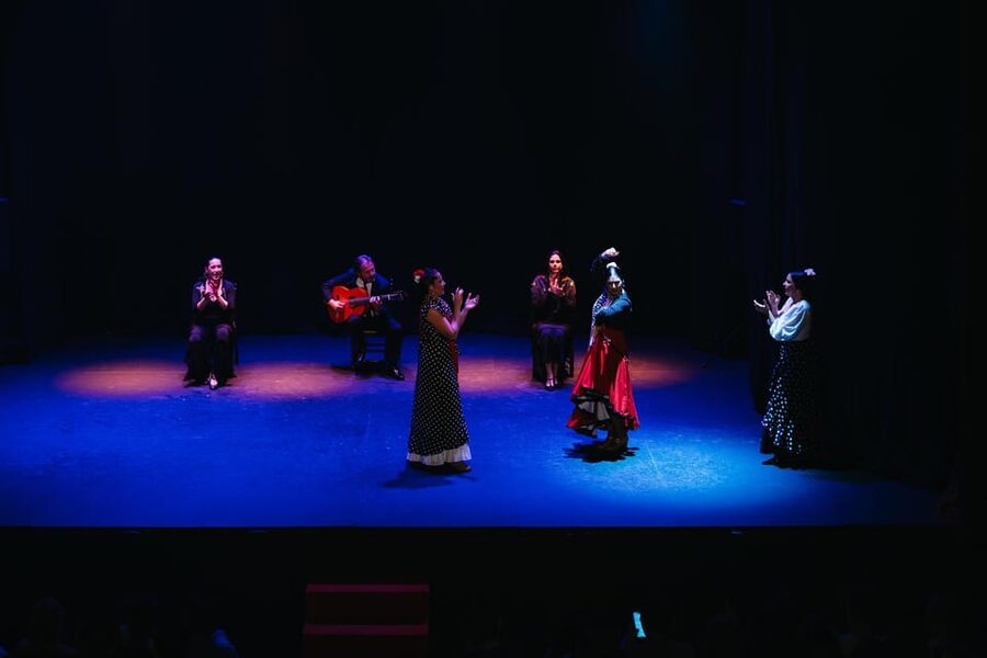 Seville: Live Flamenco Dancing Show Ticket at the Theater - Check-in and entry: the one thing to plan for