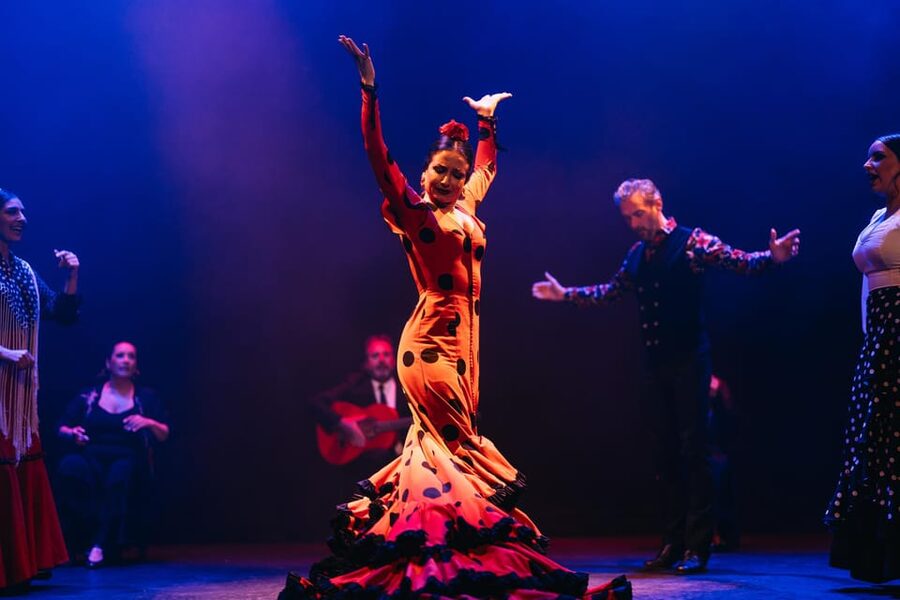 Seville: Live Flamenco Dancing Show Ticket at the Theater - Languages and comfort: what makes this easy for international visitors