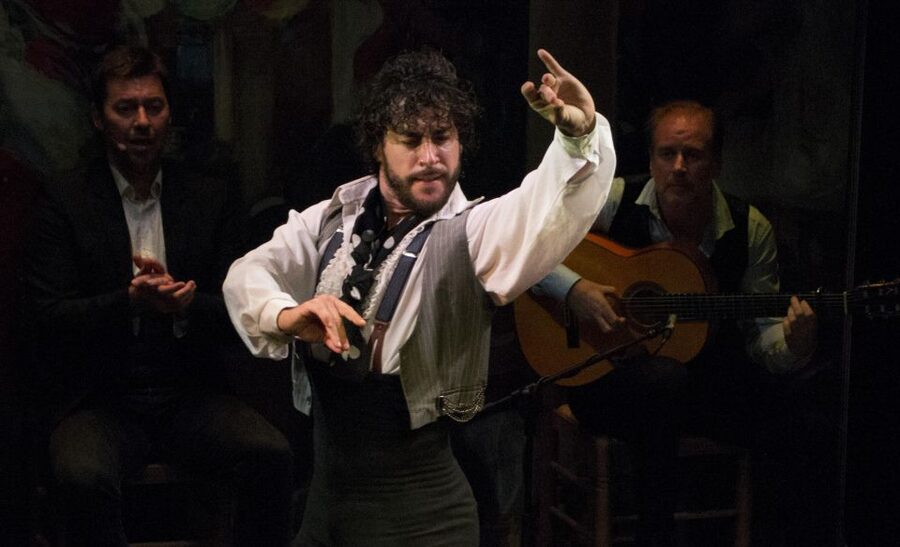 Seville: Live Flamenco Show at "Teatro Flamenco Triana" - Key Things That Make This Flamenco Show Worth It
