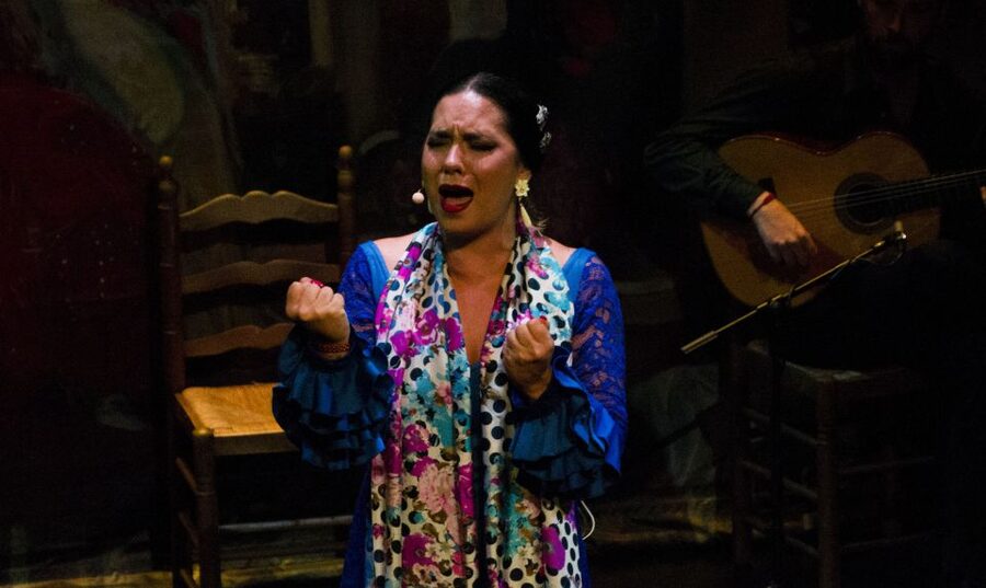 Seville: Live Flamenco Show at "Teatro Flamenco Triana" - The Best Reasons to Choose This Over a Generic Flamenco Night