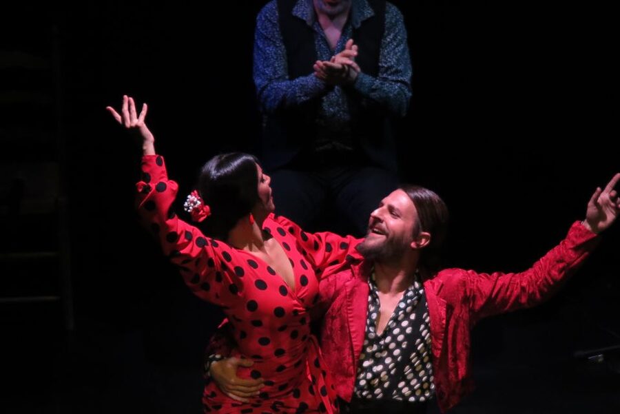 Seville: Live Flamenco Show at "Teatro Flamenco Triana" - Who This Flamenco Show Is For (And Who Might Skip It)
