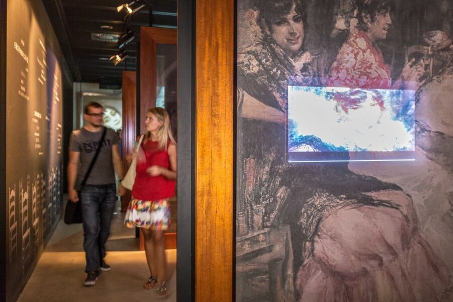 Seville: Museum of Flamenco Dance Admission Ticket - Key things to know before you go
