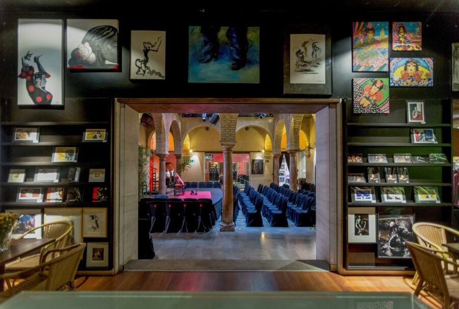 Seville: Museum of Flamenco Dance Admission Ticket - Who this ticket suits best in Seville