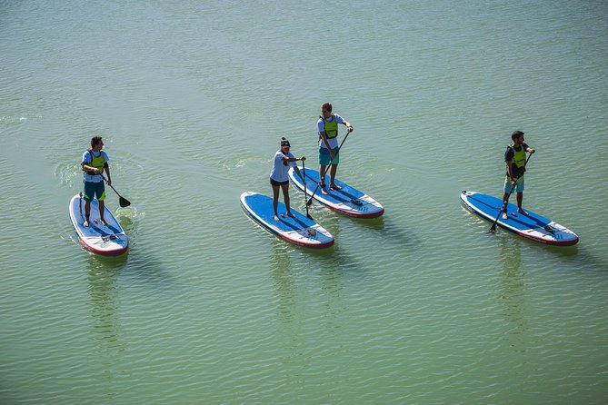Seville: Paddle Surf Route and Class - Turtles in the river, and why that matters