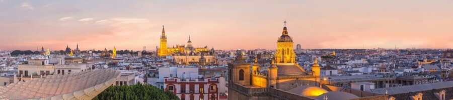 Seville: Priority Access Cathedral & Giralda Tour - Value for Money: Is $35 Worth It