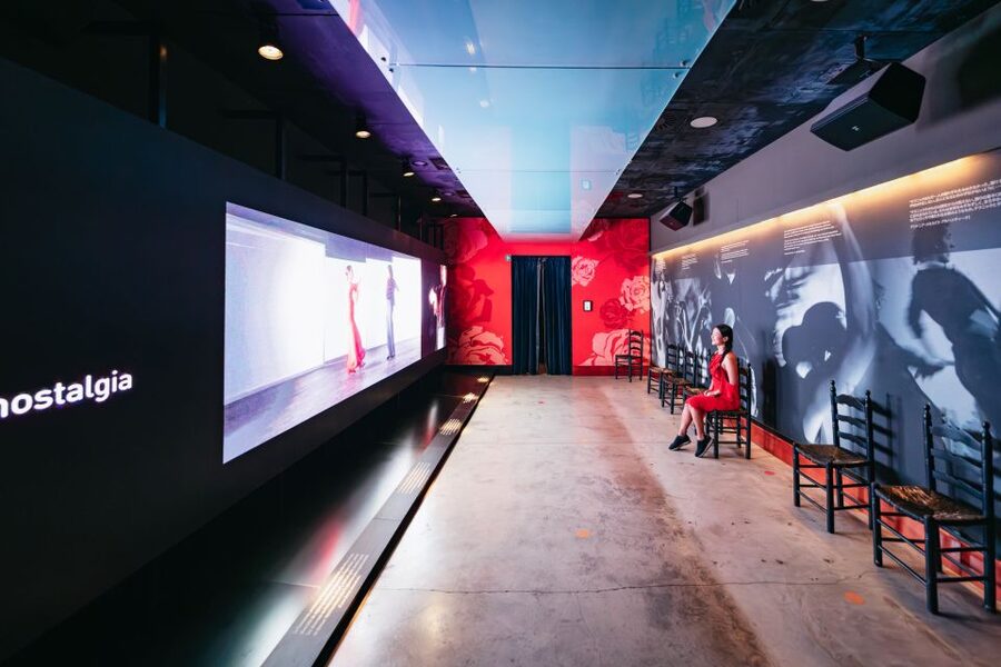 Seville: Puro Flamenco Show with Optional Museum Ticket - Who should book this show, and who might want a different plan