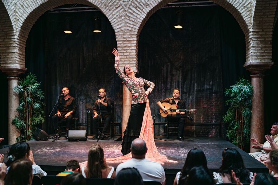 Seville: Puro Flamenco Show with Optional Museum Ticket - Entering Museo del Baile Flamenco in Barrio de Santa Cruz
