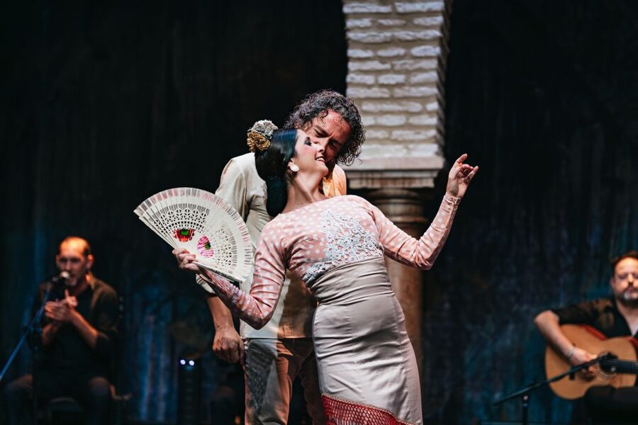 Seville: Puro Flamenco Show with Optional Museum Ticket - What happens in the one-hour Puro Flamenco show
