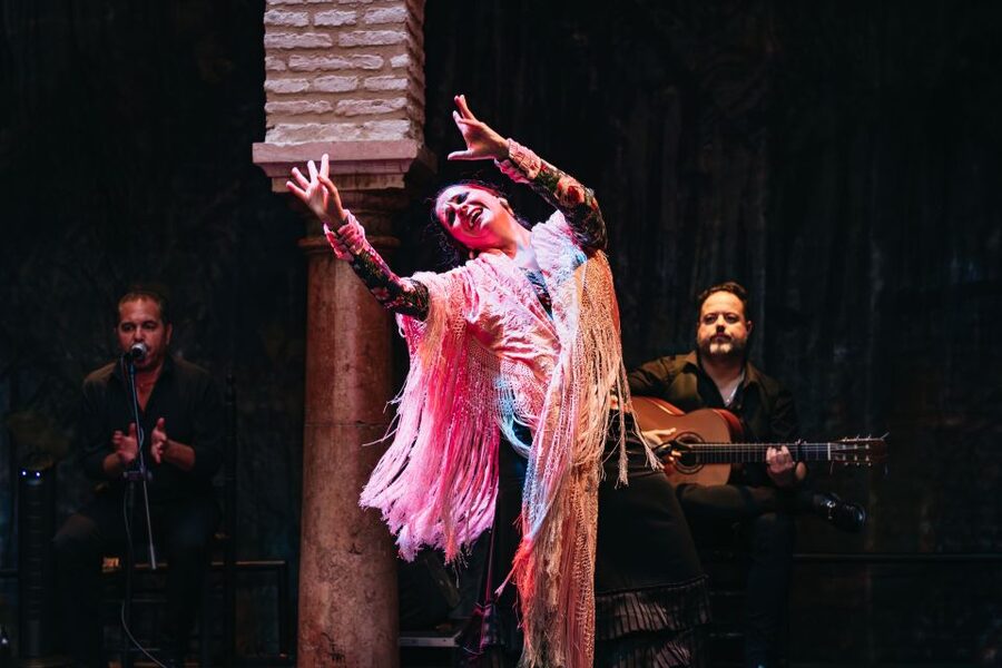 Seville: Puro Flamenco Show with Optional Museum Ticket - Sound, cameras, and the kind of audience you’re dealing with