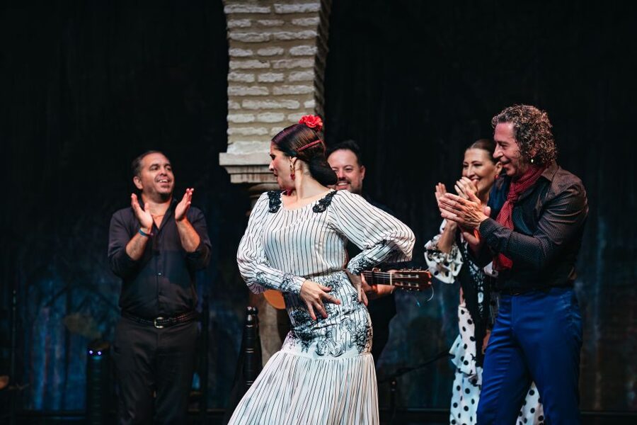 Seville: Puro Flamenco Show with Optional Museum Ticket - Price and value for a $34 Seville flamenco night