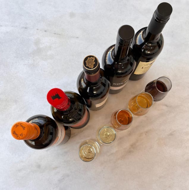 Seville: Sherry Wine Tasting with Light Snacks - How the Guide Turns Sherry From Confusing Into Clear