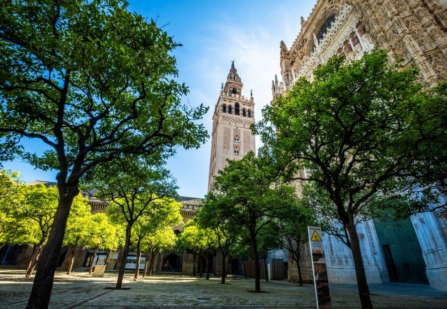 Seville: Small-Group Cathedral and Giralda Tour with Tickets - Seville Cathedral highlights you’ll actually remember