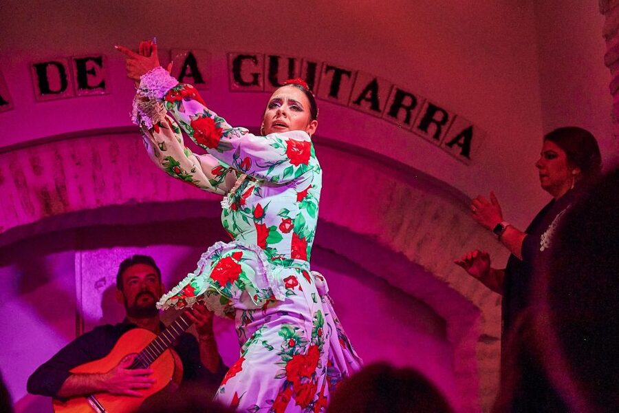 Seville: Ticket to Flamenco Show at La Casa de la Guitarra - One Hour of Guitar, Singing, and Fierce Dancing