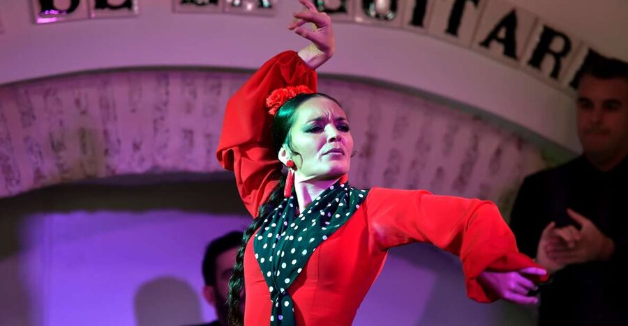 Seville: Ticket to Flamenco Show at La Casa de la Guitarra - Stepping Inside José Luis Postigo’s Guitar Collection