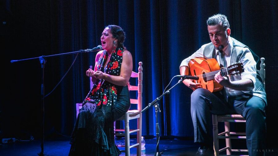 Seville: Traditional Flamenco Show in Triana - Price and value, is $26 worth a one-hour flamenco night?