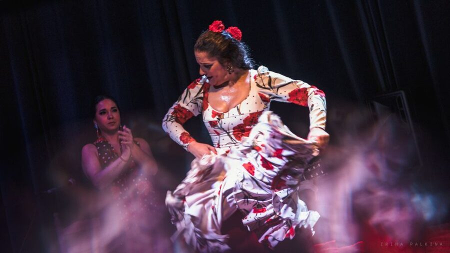 Seville: Traditional Flamenco Show in Triana - Who should book this Seville flamenco show in Triana