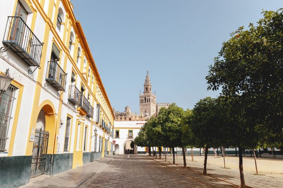 Seville: VIP Exclusive Early Access Tour of The Alcazar - Plaza del Triunfo meeting, green Walks sign, and what to bring