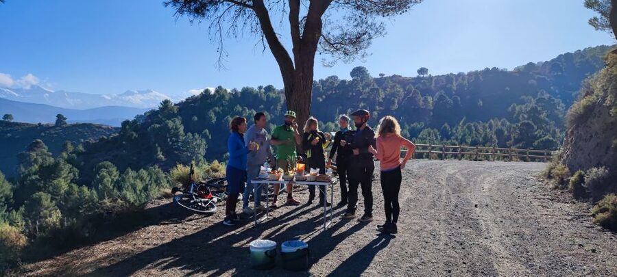 Sierra Nevada Small Group E-Bike Tour - Riding Down the Sierra Nevada: The Part You’ll Remember