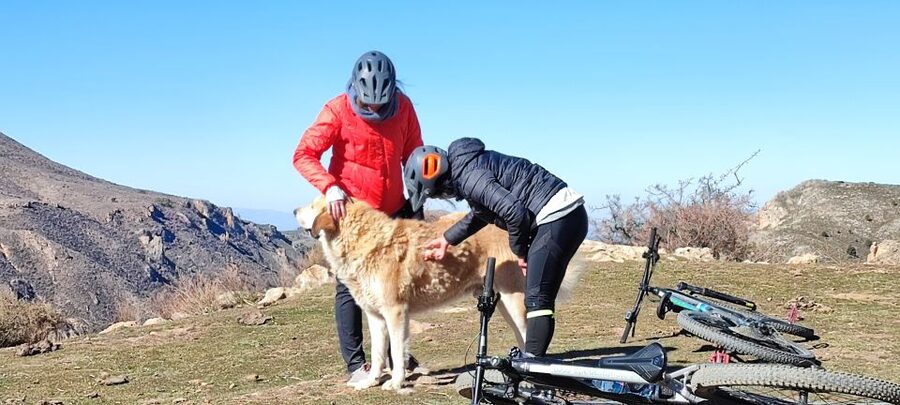 Sierra Nevada Small Group E-Bike Tour - White Villages and Forest Air Stops