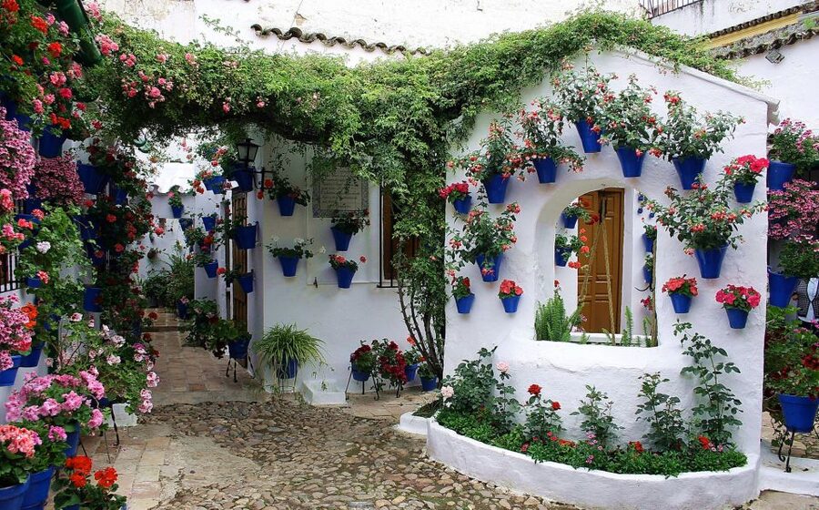 Sights, Sounds, and Scents of Córdoba's Patios - Why Córdoba’s patios shine in May and at dusk