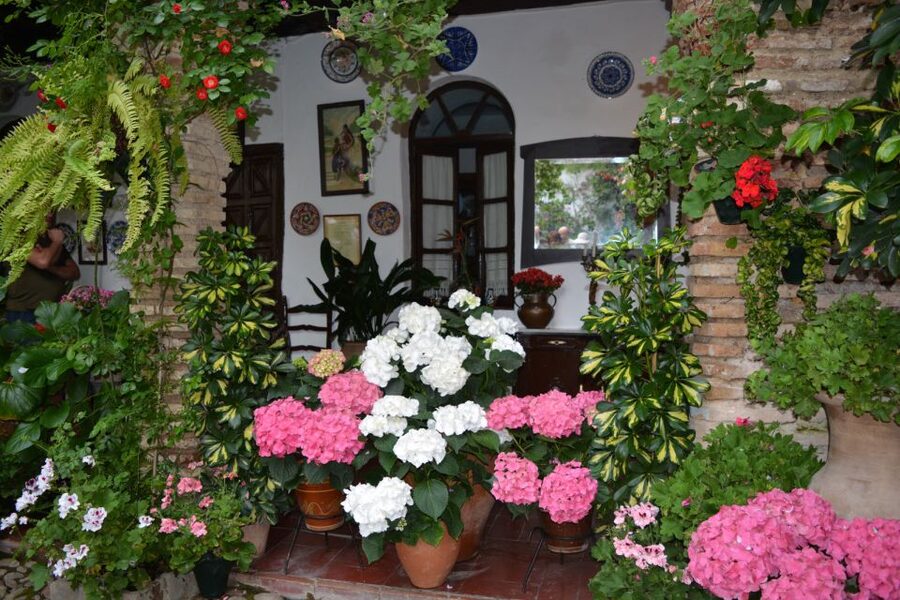 Sights, Sounds, and Scents of Córdoba's Patios - Santa Marina, San Agustín, and San Lorenzo: how the neighborhoods change