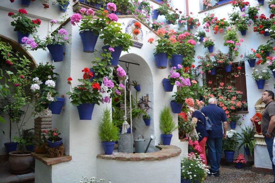 Sights, Sounds, and Scents of Córdoba's Patios - What you’ll see in each patio, from jasmine to prize winners