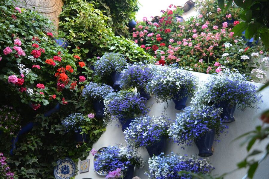 Sights, Sounds, and Scents of Córdoba's Patios - Timing, pace, and what to pack for 2.5 hours