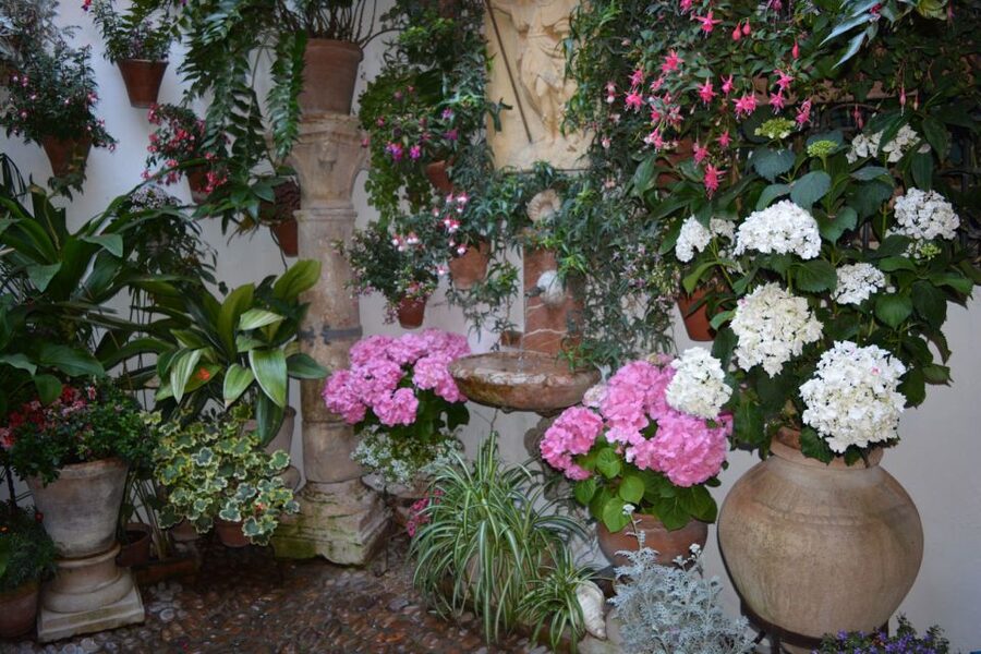 Sights, Sounds, and Scents of Córdoba's Patios - Price and value: is $26 fair for this kind of tour?