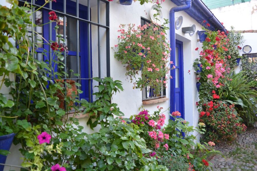 Sights, Sounds, and Scents of Córdoba's Patios - Who should book this patio walk, and who might skip it