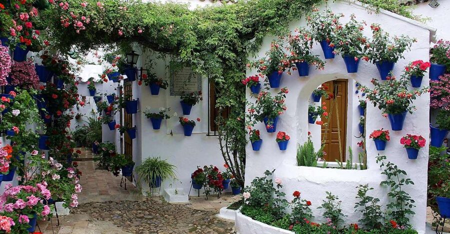 Sights, Sounds, and Scents of Córdoba's Patios - Final call: should you book this Córdoba patios tour?