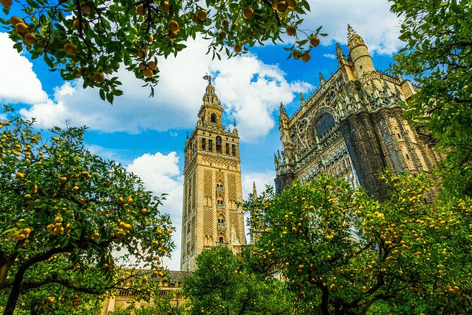 Skip the Line Seville Alcázar, Cathedral & Giralda Guided Tour - Group size, pacing, and how to handle the crowds