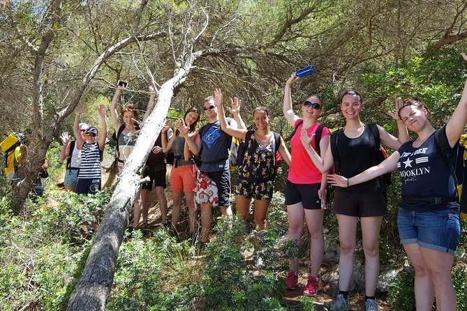 Small-Group Cova de Coloms Sea Caving Tour in Mallorca - When the Day Changes: Rough Water and Alternative Cave Options