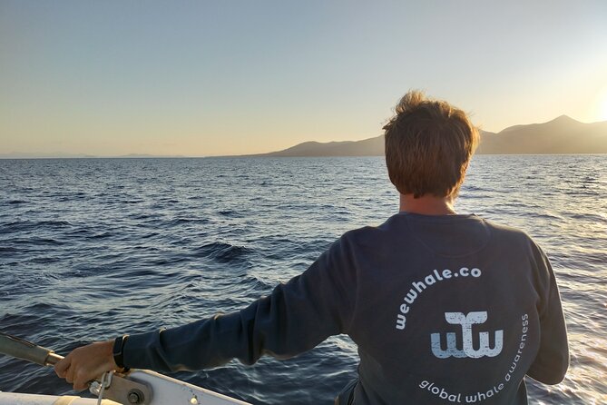 Small Group Dolphin Sunset Tour on Electric Catamaran Lanzarote - Puerto Calero at sunset, Dock F22 to Port City Views