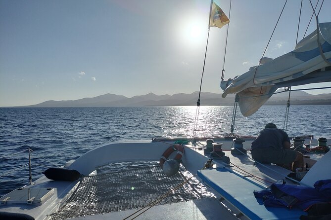 Small Group Dolphin Sunset Tour on Electric Catamaran Lanzarote - Drinks and snacks: OceanBeer, soda, and a sea-friendly bite