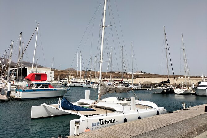 Small Group Dolphin Sunset Tour on Electric Catamaran Lanzarote - Crew care and what small-group service looks like