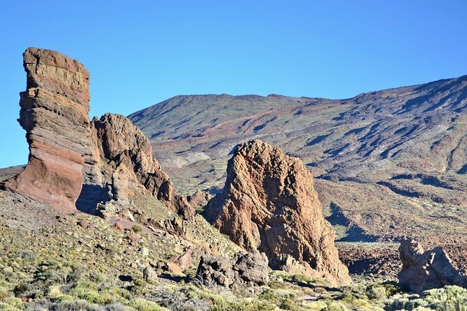 Small Group Teide National Park Volcanic and Forest Wonders - Quick reasons this Teide tour works