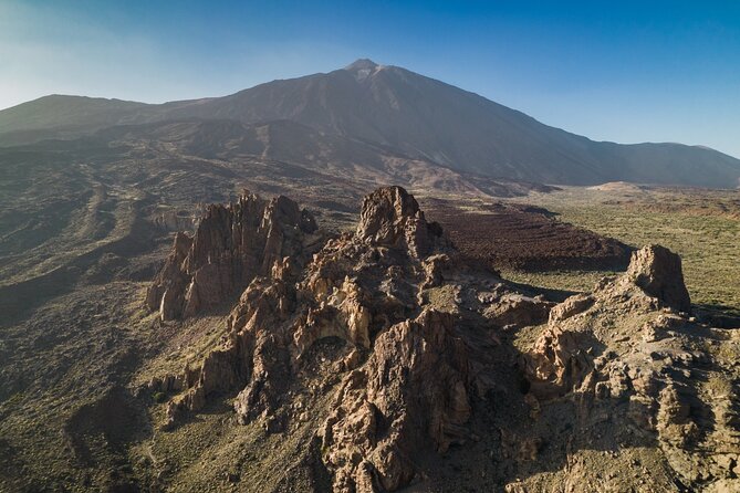 Small Group Teide National Park Volcanic and Forest Wonders - El Pino Gordo: the pine forest’s star photo stop