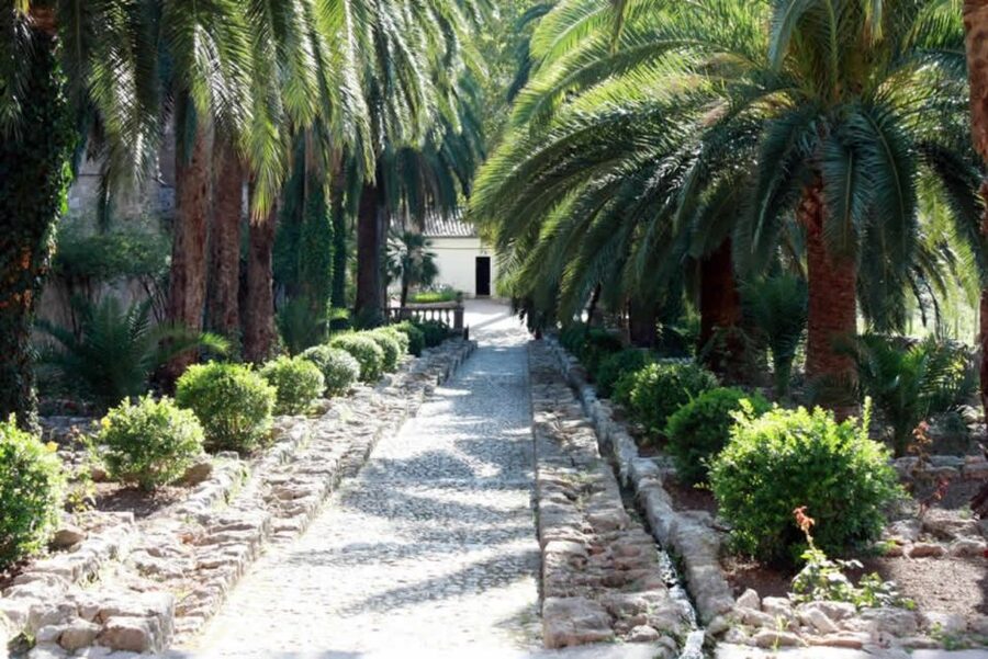Sóller: Jardines de Alfabia Entrance Ticket - Getting there from Palma and around Sóller